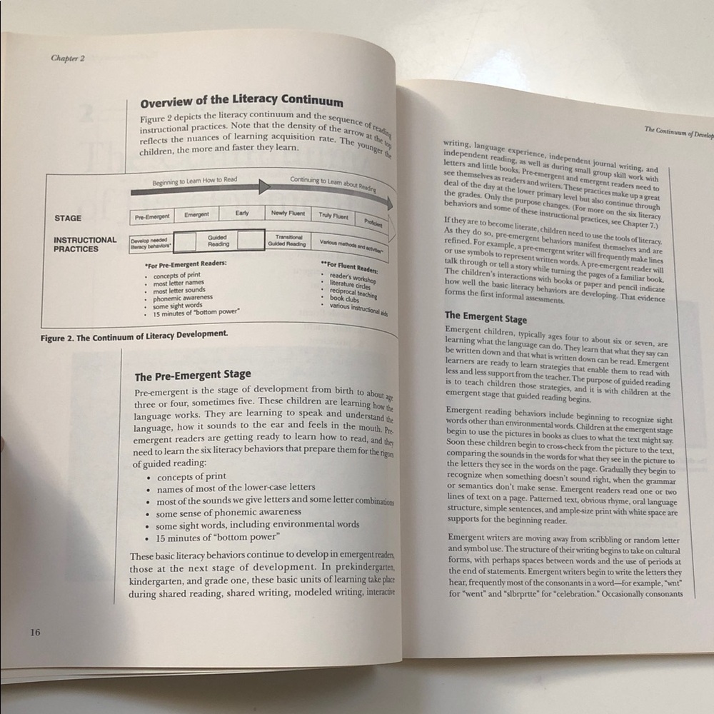 The Ultimate Guided Reading How-To Book - Picture 10 of 15